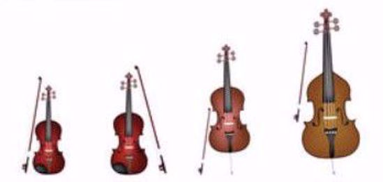Picture of S1600 - Recital - Any Stringed Instrument
