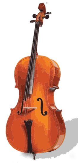 Picture of S2100 -Study Class - Cello/ Bass